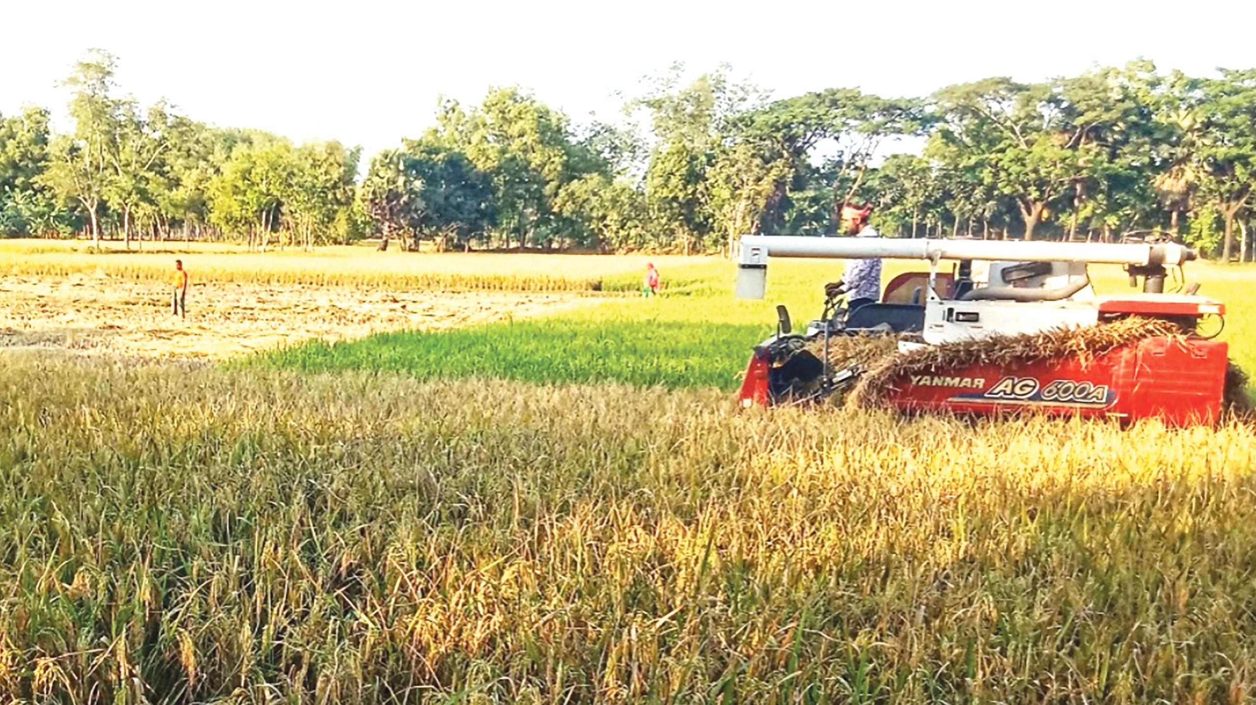 মেশিনে খরচ কমল কৃষকের