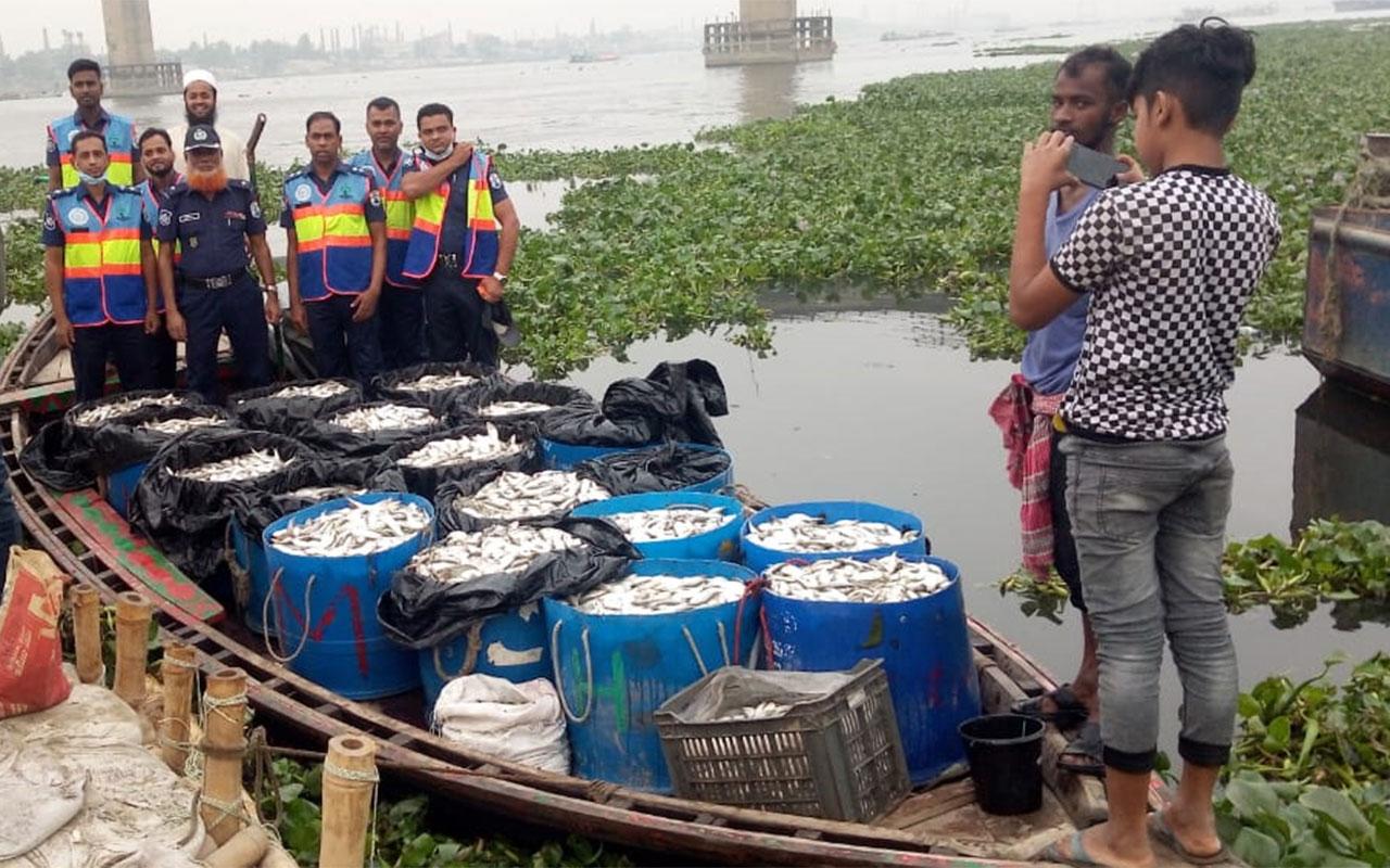 নারায়ণগঞ্জে ৬ হাজার কেজি জাটকা জব্দ