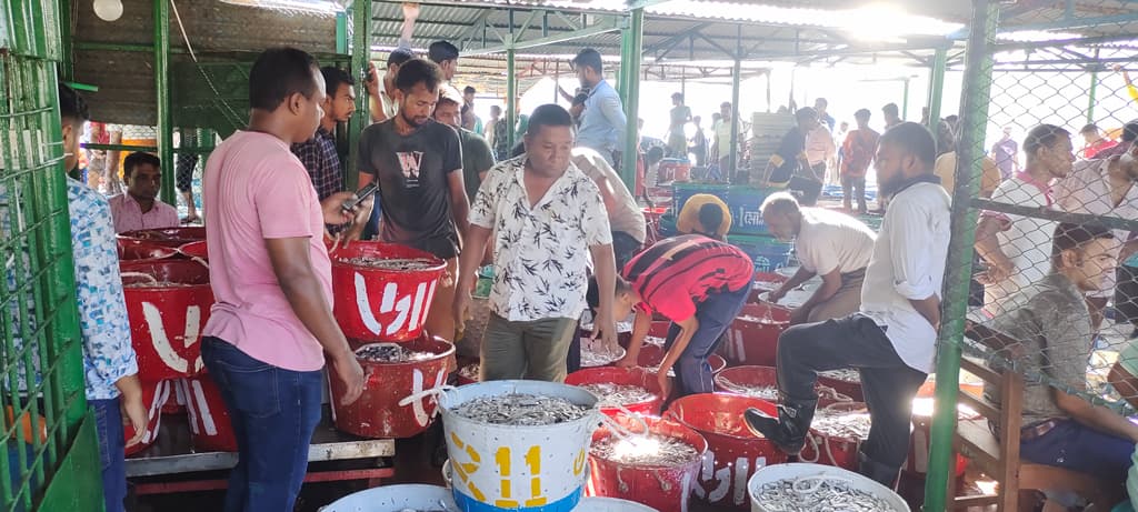 হ্রদে মিলছে ঝাঁকে ঝাঁকে মাছ