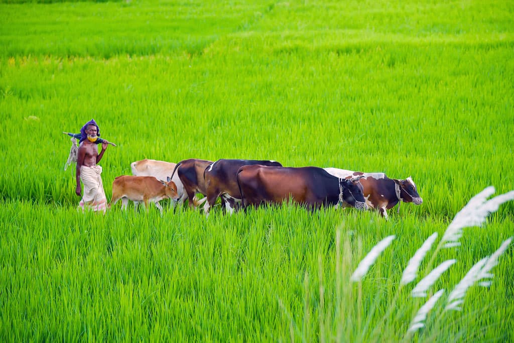 দিনের ছবি (১৬ অক্টোবর, ২০২৩)