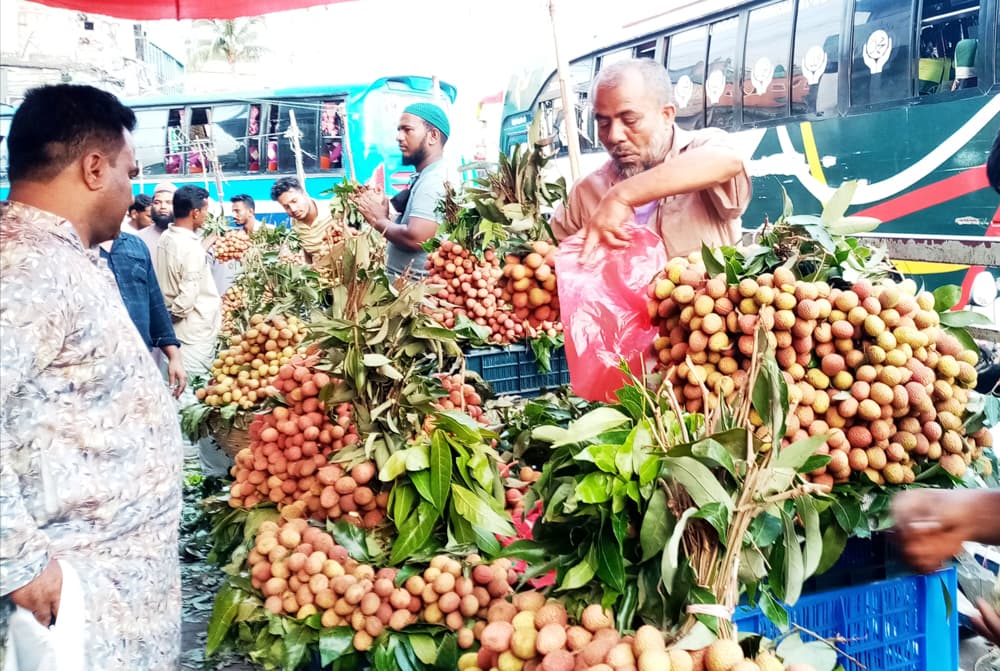 দিনের ছবি (১৯ মে, ২০২৩)