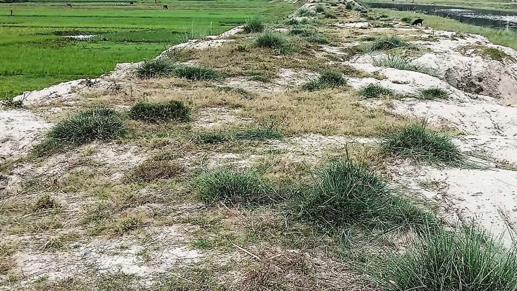 কৃষিজমিতে ড্রেজিংয়ের মাটি, বিপাকে কৃষক