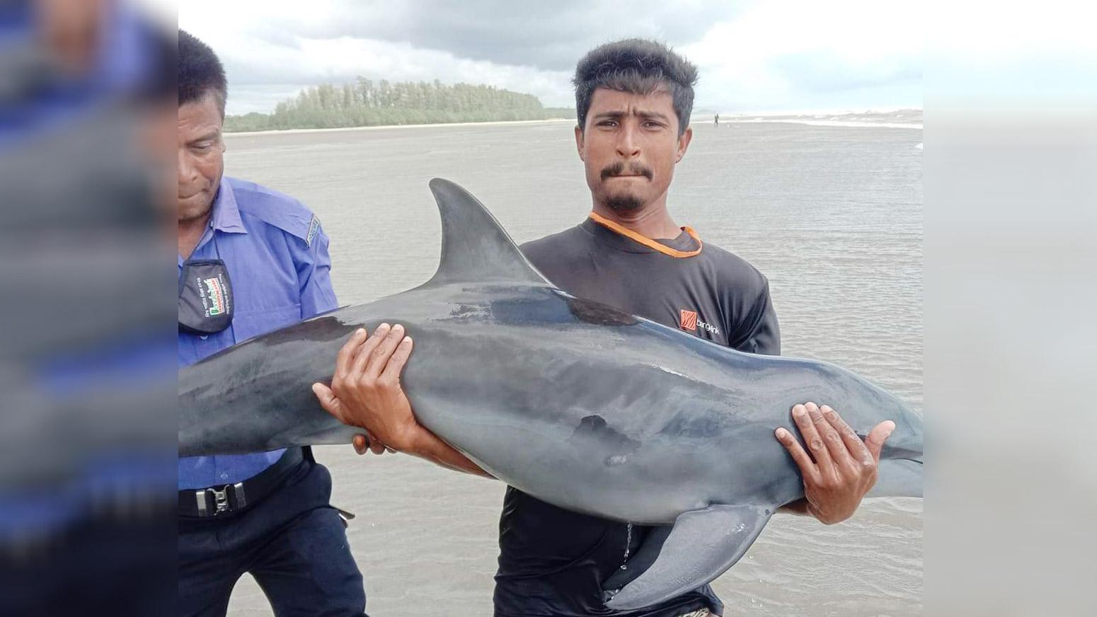 কক্সবাজার সমুদ্র সৈকতে ভেসে এসে মারা পড়ল ইরাবতী ডলফিন