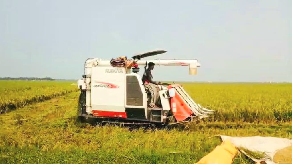 ধান কাটার শ্রমিক সংকট জগন্নাথপুরে, কৃষকদের ভরসা কম্বাইন হারভেস্টর