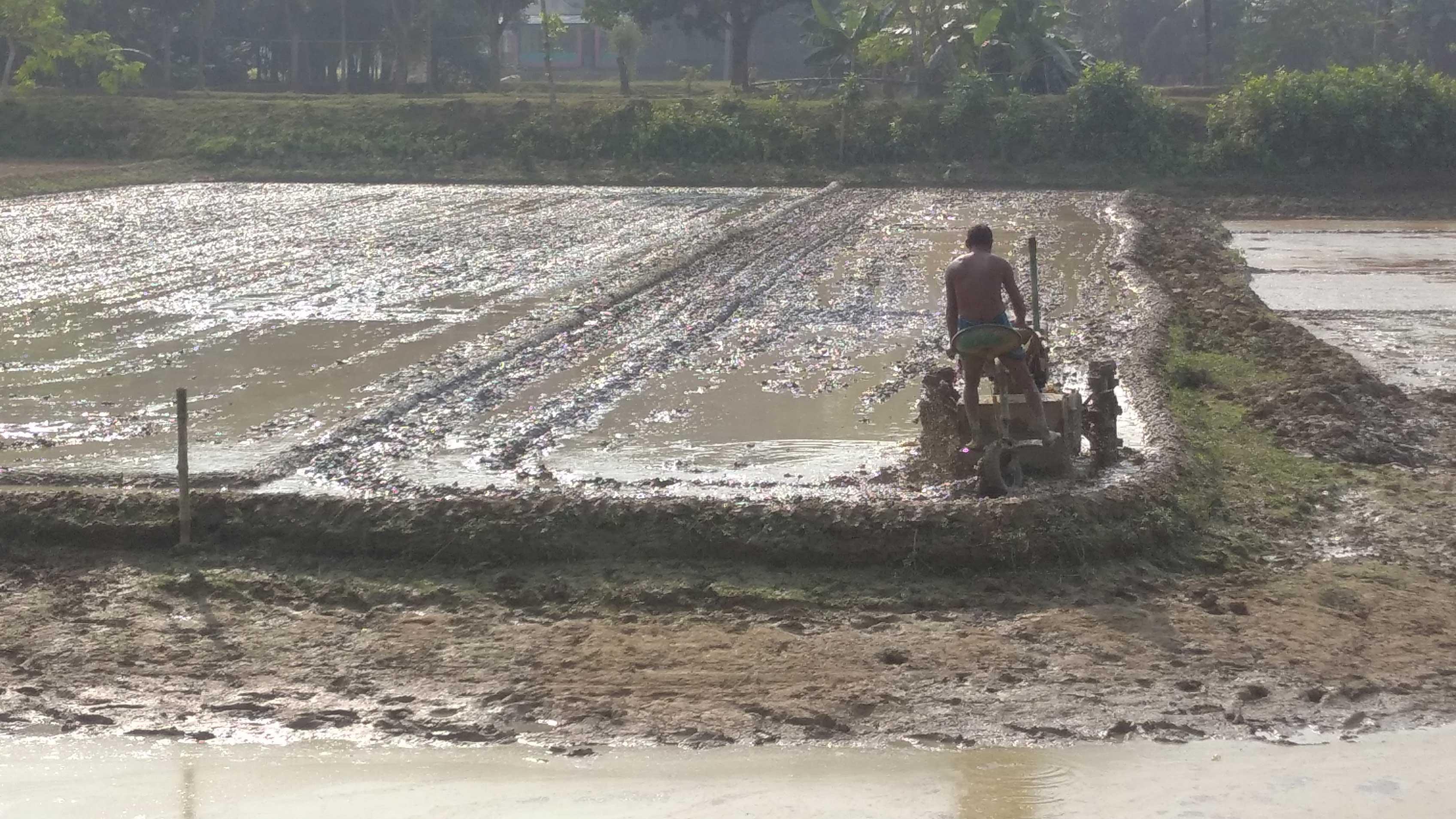 ডিজেলের দামে বাড়ছে খরচ