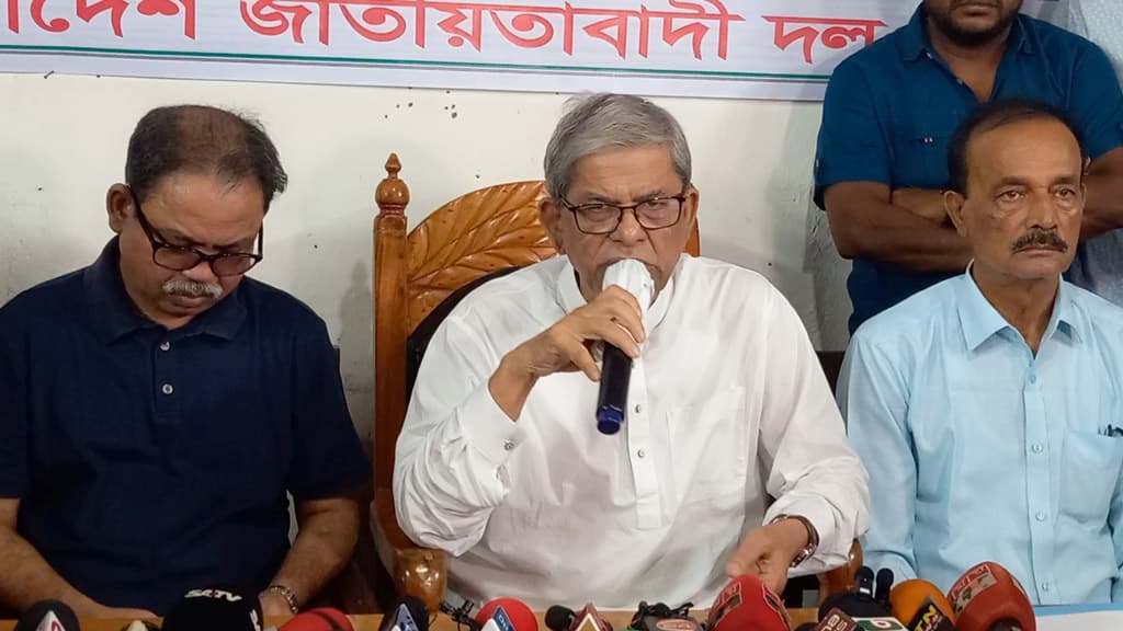 উন্নয়নের নামে সরকার লুটপাট করছে: মির্জা ফখরুল 