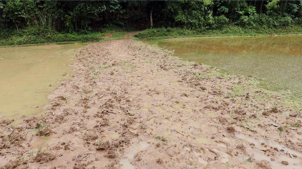 নবীগঞ্জে রাস্তা নিয়ে দ্বন্দ্বে বারবার সংঘাত: সমঝোতায় মেলেনি সমাধান