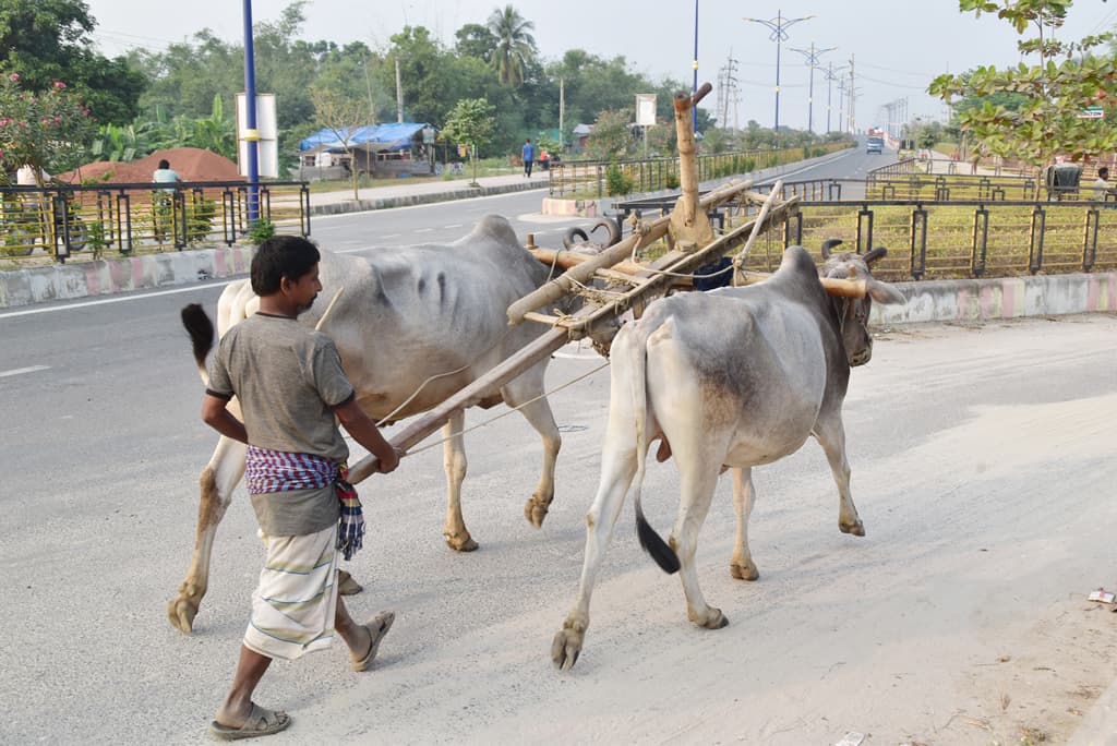 দিনের ছবি (২৫ নভেম্বর, ২০২৩)