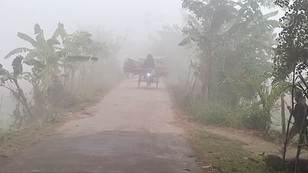 তেঁতুলিয়ায় জেঁকে বসেছে শীত, তাপমাত্রা কমে সর্বনিম্ন 