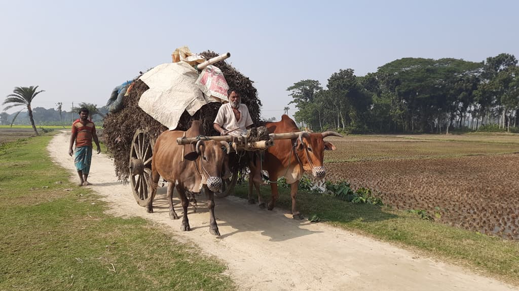 দিনের ছবি (১৪ ডিসেম্বর, ২০২৩)