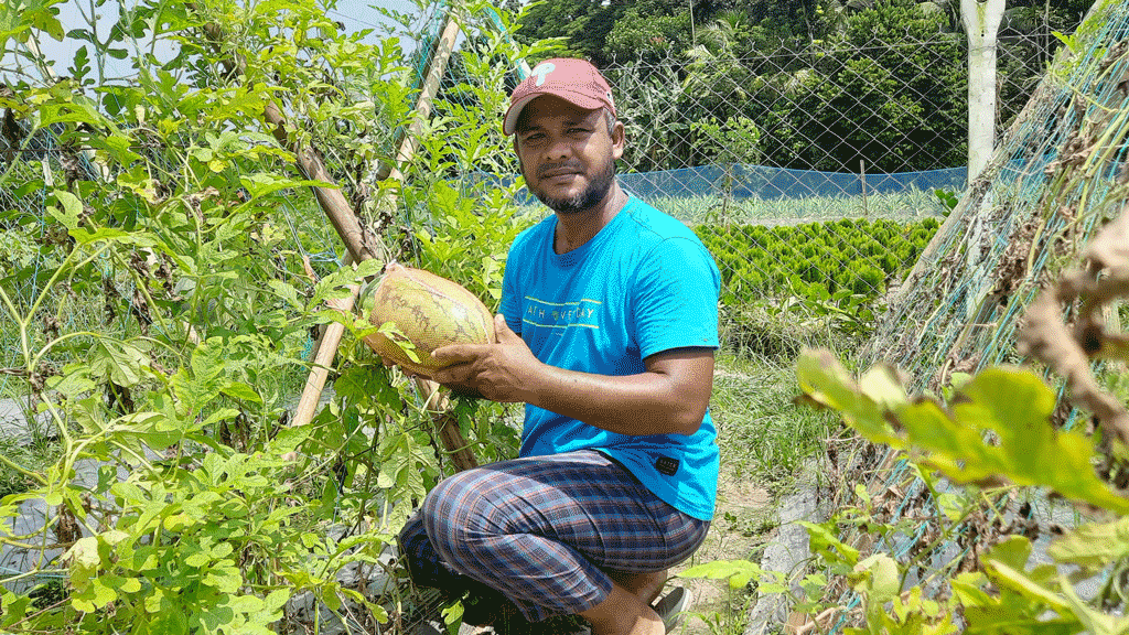 অসময়ের তরমুজে লাভের আশা মন্টুর