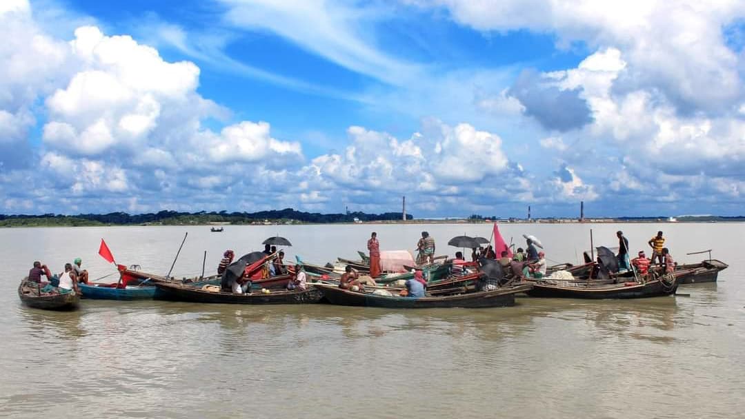 জালে উঠছে শুধু জাটকা