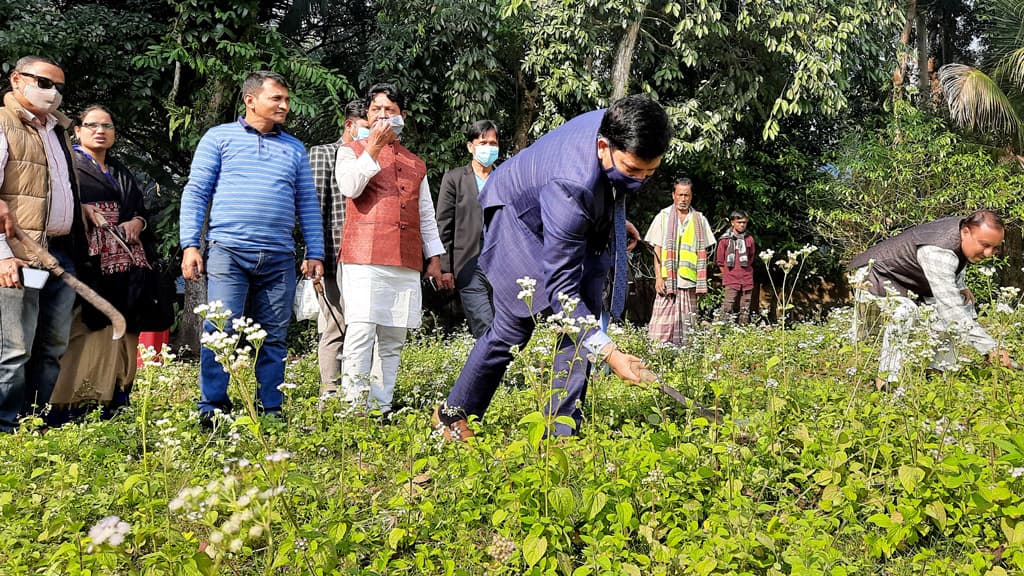 মৌলভীবাজার শহরে মশক   নিধন অভিযান শুরু