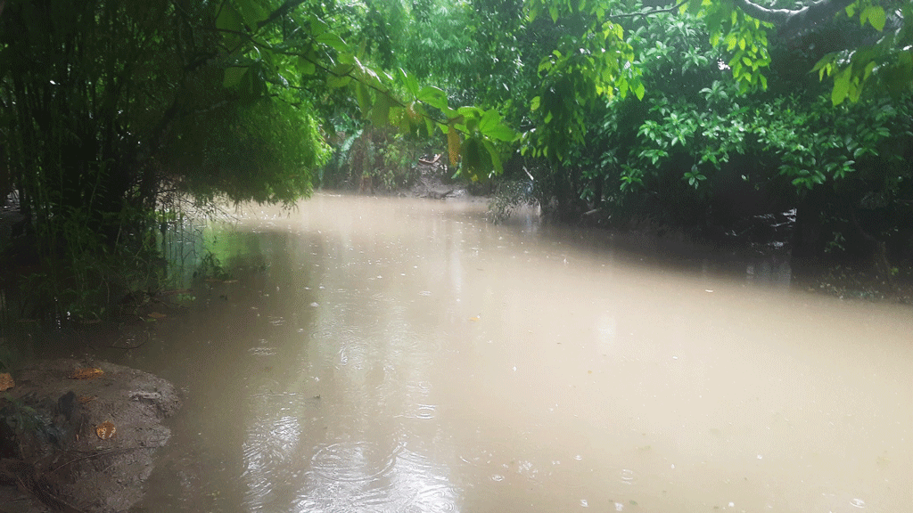 বরগুনায় কমতে শুরু করেছে জোয়ারের পানি