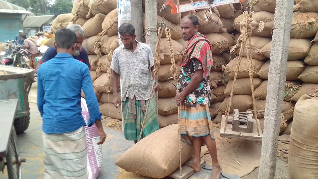 খাদ্যগুদামে ধান বিক্রিতে আগ্রহ কম  কৃষকের