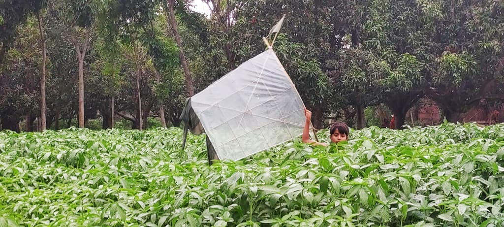 দিনের ছবি (২১ মে, ২০২৩)