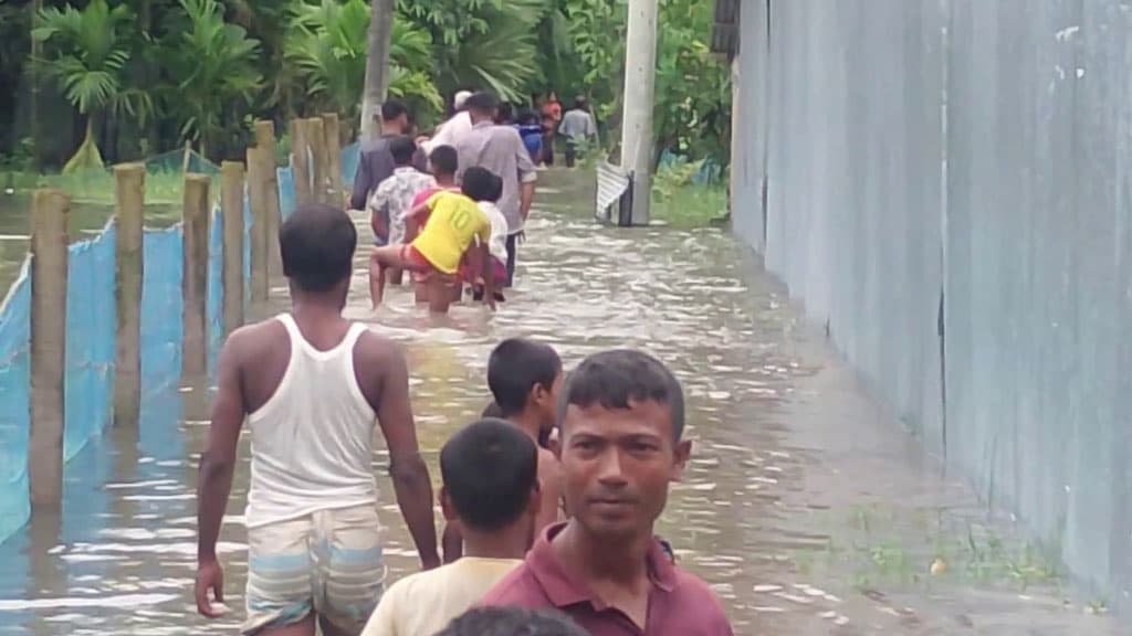 লক্ষ্মীপুরে বন্যায় বেড়েছে সাপের উপদ্রব, কামড় খেয়ে চিকিৎসা নিয়েছেন অনেকে