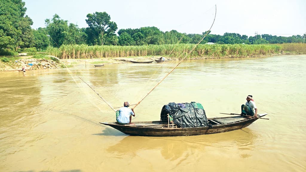 নদীতে ইলিশের দেখা নেই