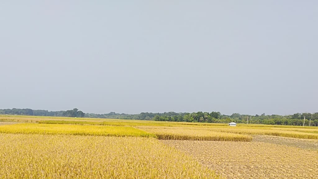 লক্ষ্য পূরণ নিয়ে শঙ্কা