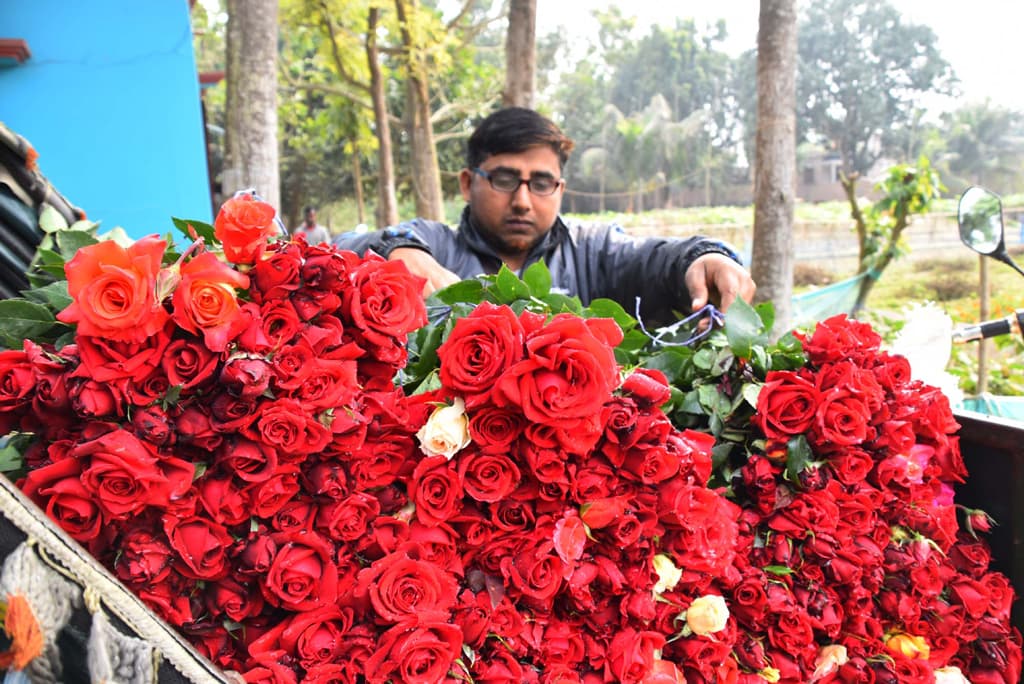 দিনের ছবি (১৩ ফেব্রুয়ারি, ২০২৪)