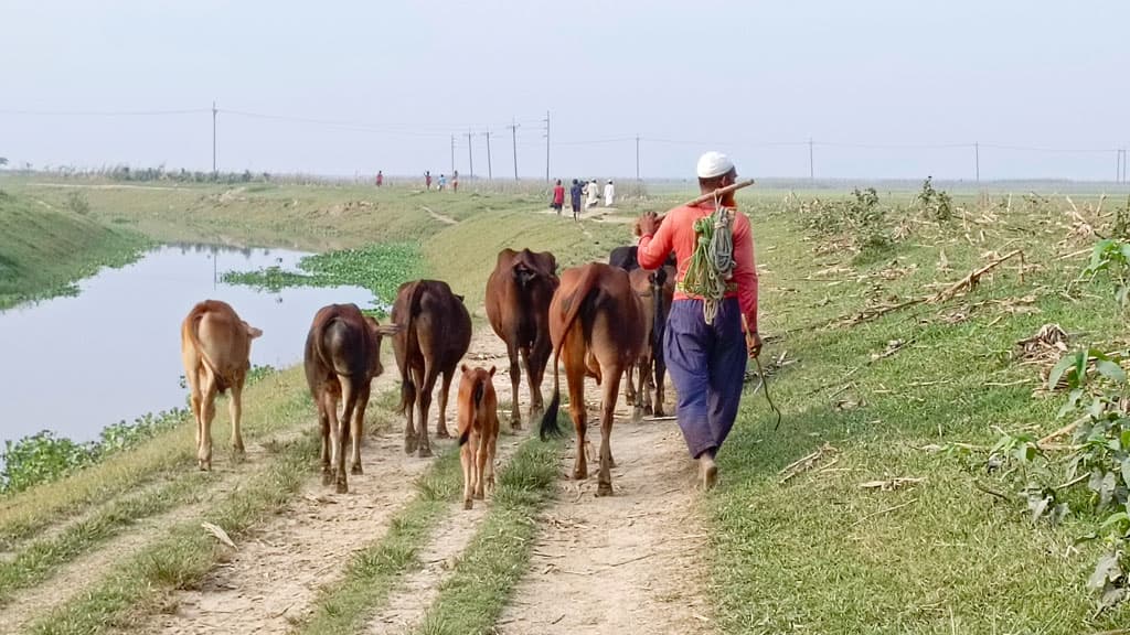 দিনের ছবি (২১ এপ্রিল, ২০২৪)