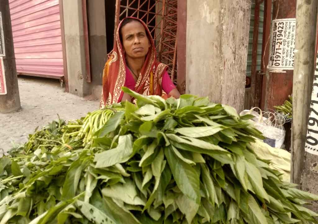 রেহানার জীবনের বোঝায় শাকই যখন সহায়