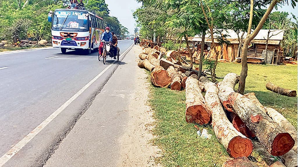 মহাসড়কের পাশে কাঠের   ব্যবসা, ঘটছে দুর্ঘটনা