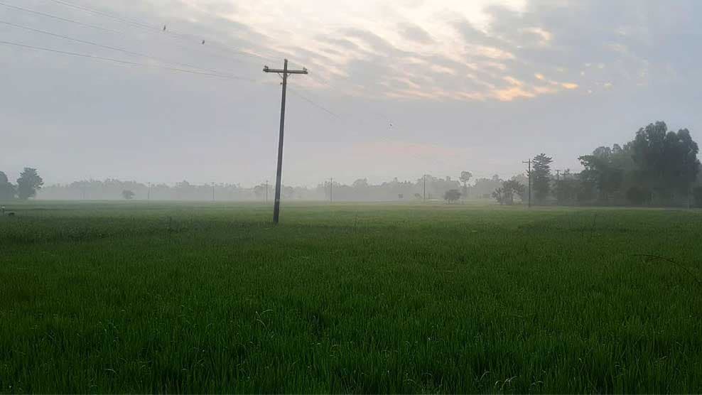 রৌমারীতে বাড়ছে শীত