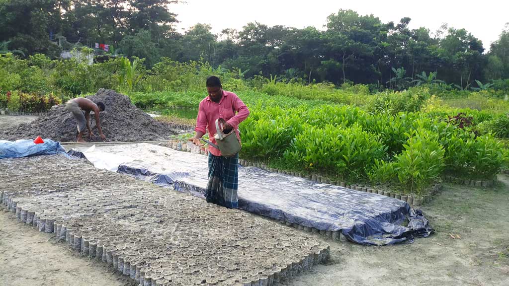 নার্সারি থেকে ৮ মাসে অর্ধকোটি টাকা আয়ের আশা