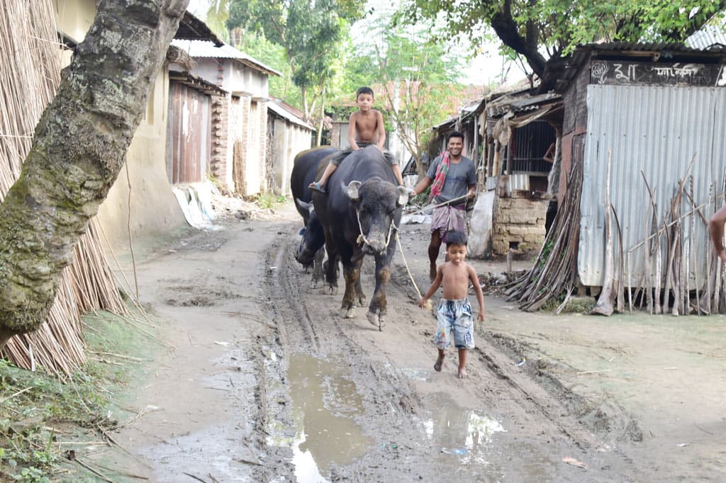 দিনের ছবি (০৯ সেপ্টেম্বর, ২০২৩)