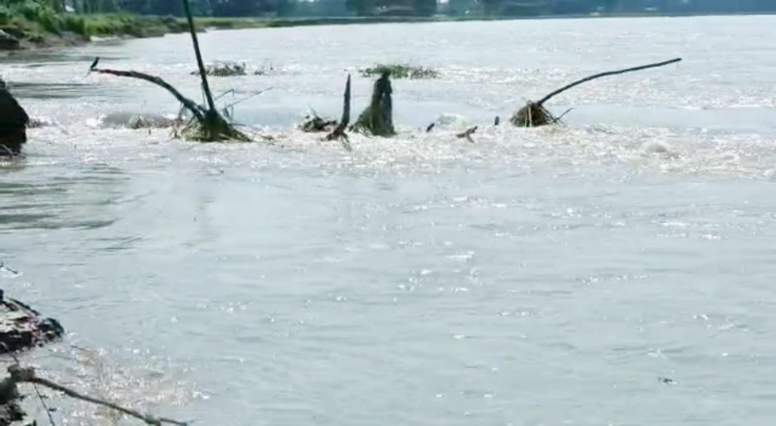 উজানের ঢলে তিস্তাপাড়ে ভাঙন, বিলীন হচ্ছে বসতবাড়ি