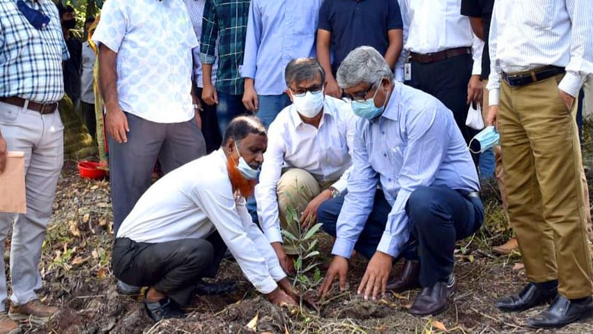 খুবিতে সুন্দরবনের কয়েক প্রজাতির বৃক্ষের চারা রোপণ