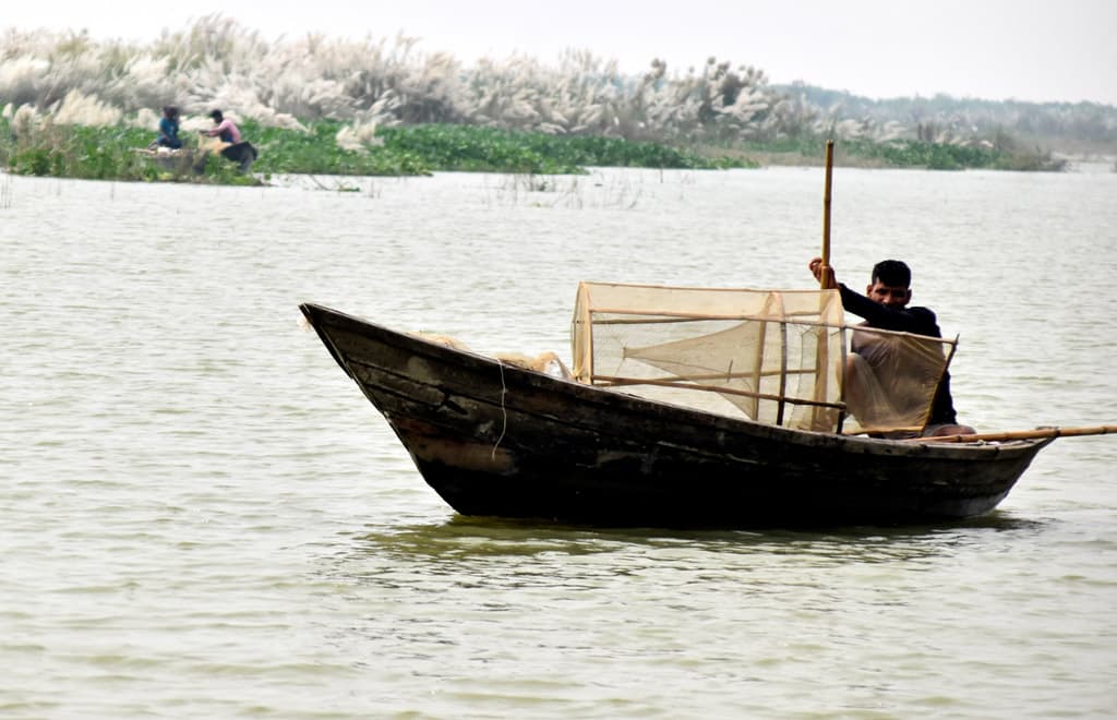 দিনের ছবি (১৪ অক্টোবর ২০২৪)