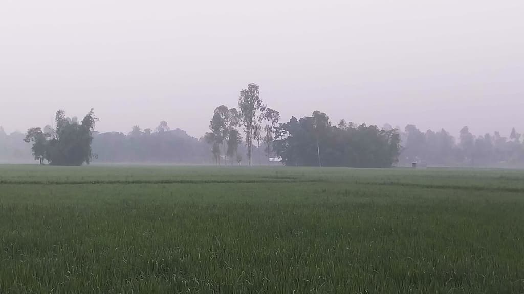 হেমন্তের শুরুতেই শীতের আমেজ