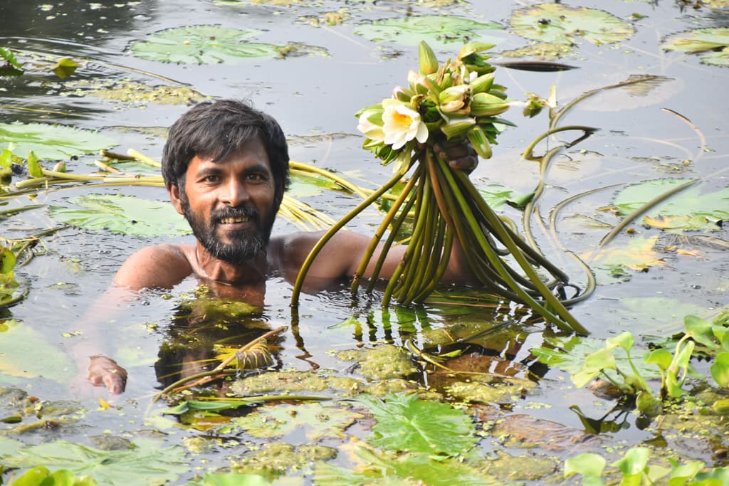 দিনের ছবি (৩০ অক্টোবর ২০২৪)