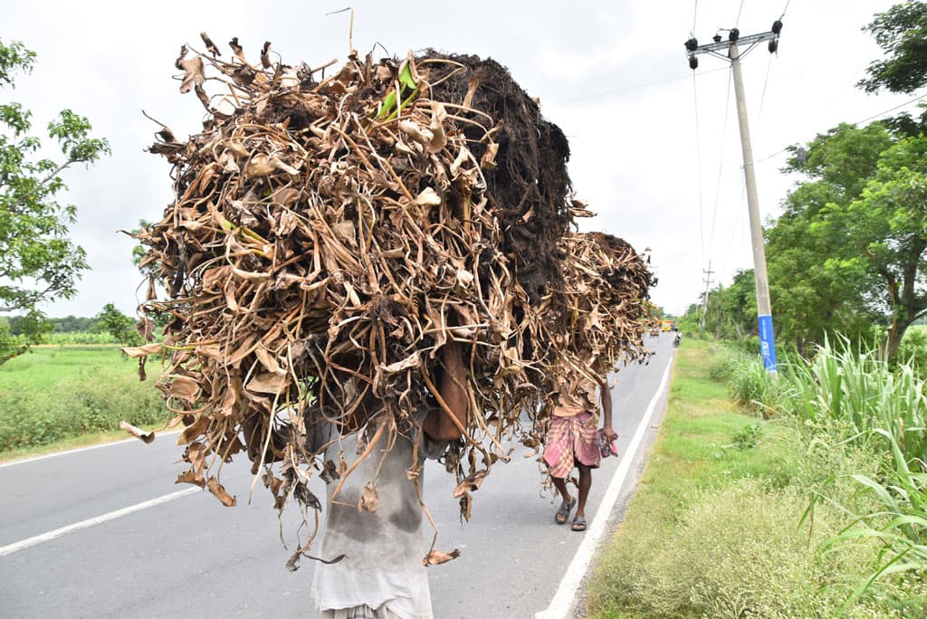 দিনের ছবি (১ জুলাই ২০২৪)