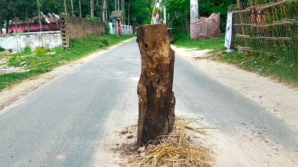 সড়ক বাঁচাতে মাঝে গাছের খুঁটি, বেড়েছে ঝুঁকি