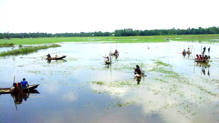 ঘিওরে মাছ শিকারের উৎসব