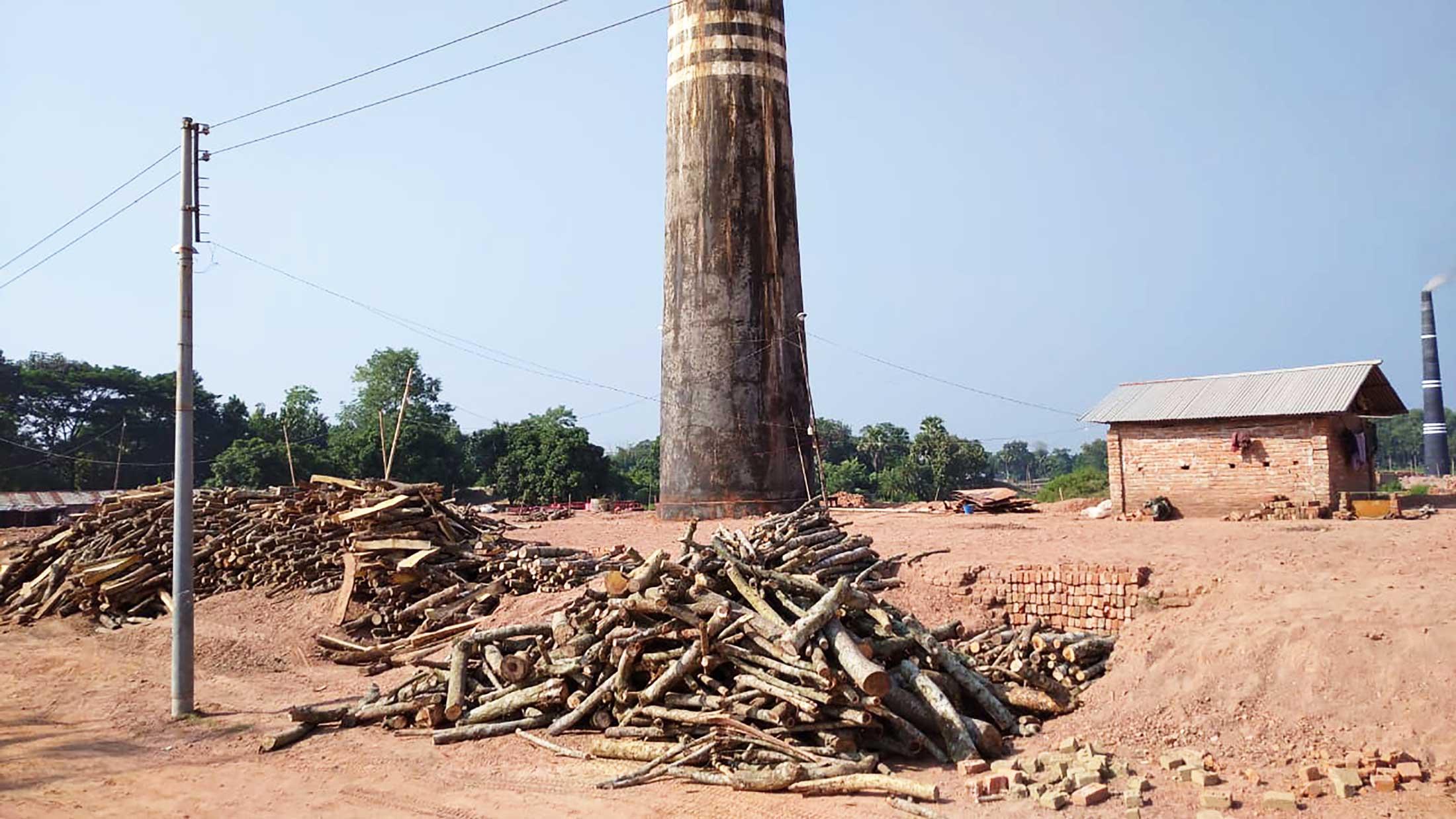 অবৈধ ভাটায় পুড়ছে বনের গাছ