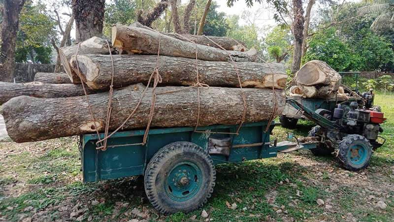 গাছের গুঁড়ির চাপায় শ্রমিকের মৃত্যু