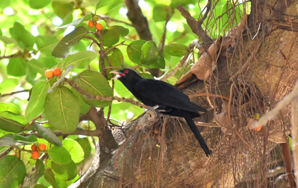 দিনের ছবি (৩০ এপ্রিল, ২০২৪)