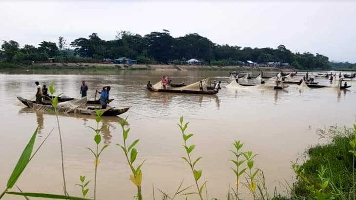 হালদায় কমেছে লবণাক্ততা, পূর্ণ ডিম ছেড়েছে মা মাছ