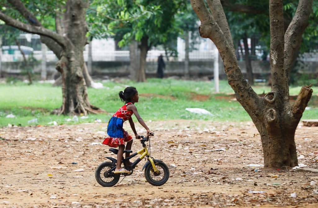 দিনের ছবি (১৭ জুন, ২০২৩)