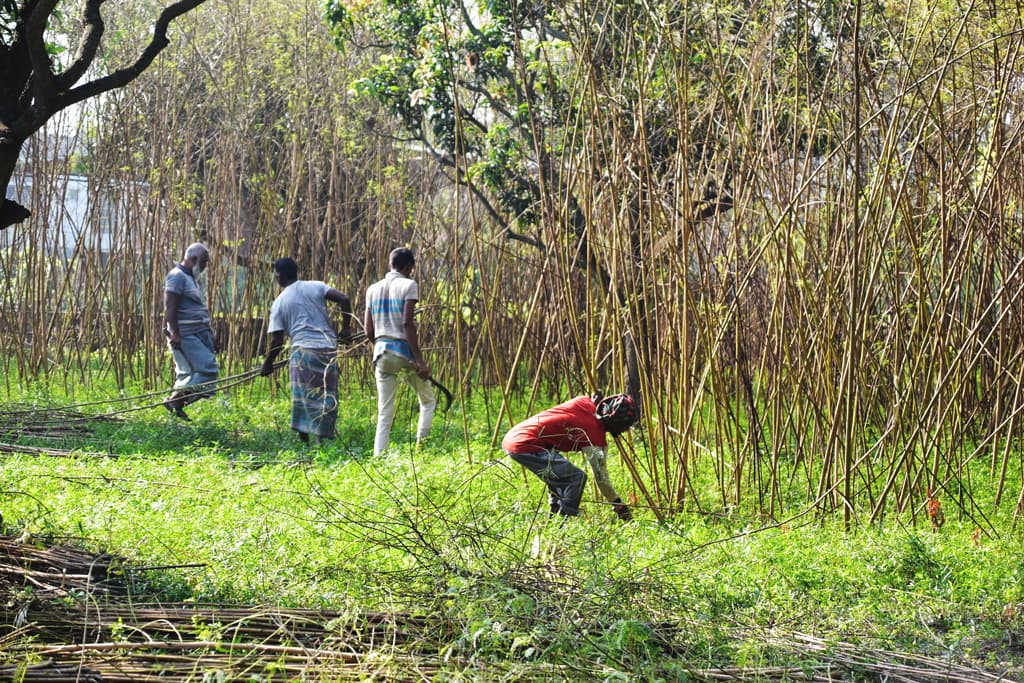 দিনের ছবি (২ নভেম্বর, ২০২৩)