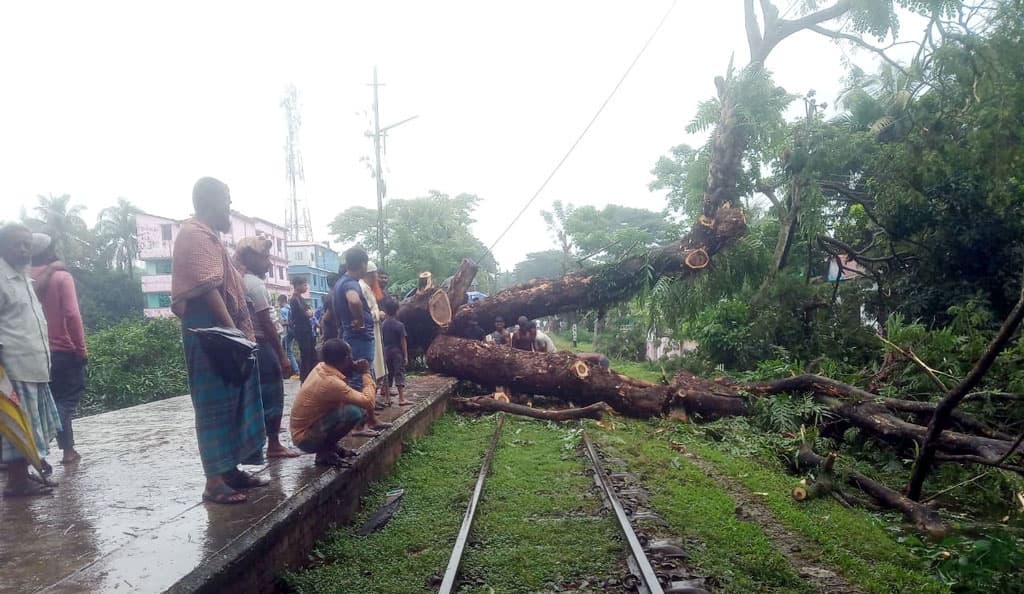 রেললাইনে গাছ পড়ায় নোয়াখালীতে ট্রেন চলাচল বন্ধ