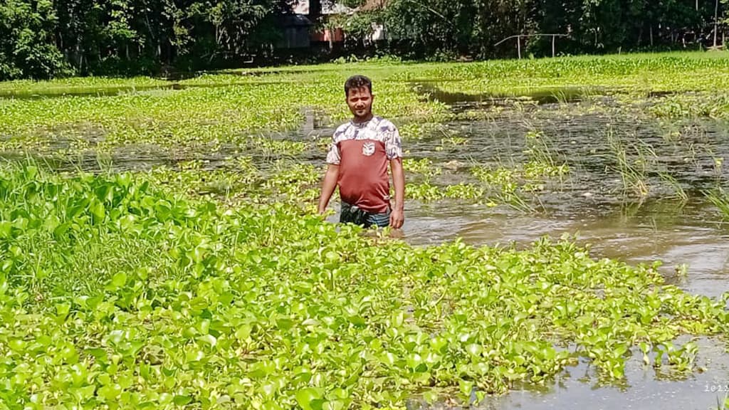 জলাবদ্ধতায় আমন চাষ হয়নি শত একর জমিতে