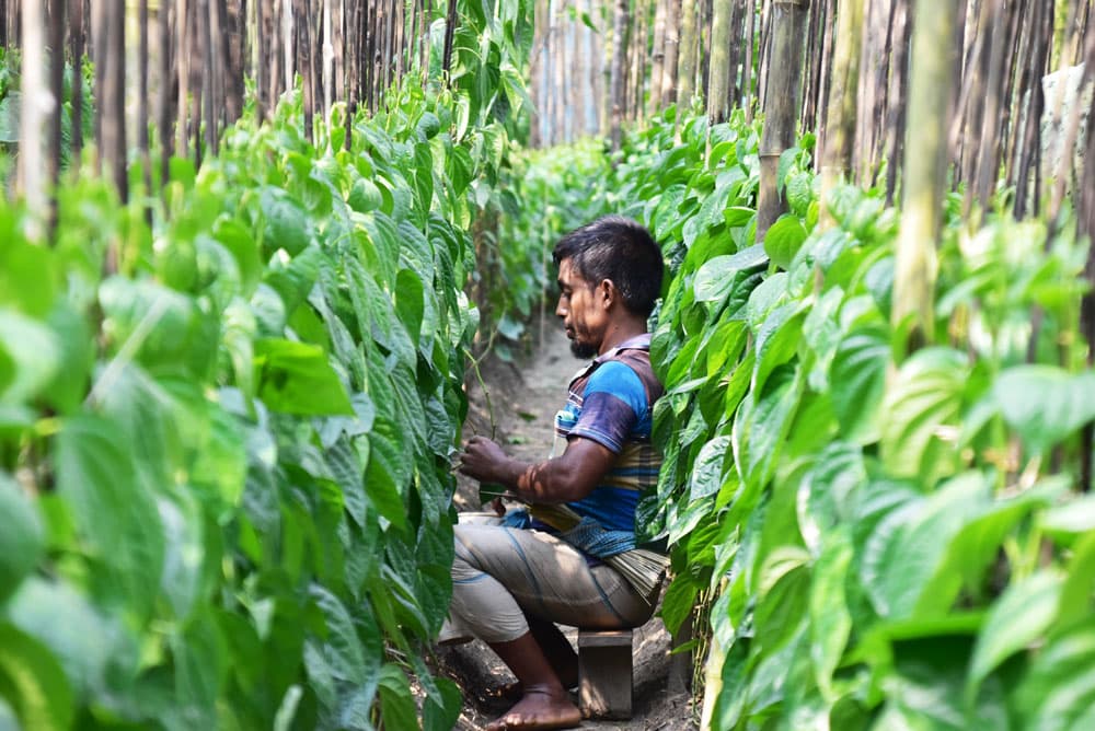 দিনের ছবি (০১ সেপ্টেম্বর, ২০২৩)