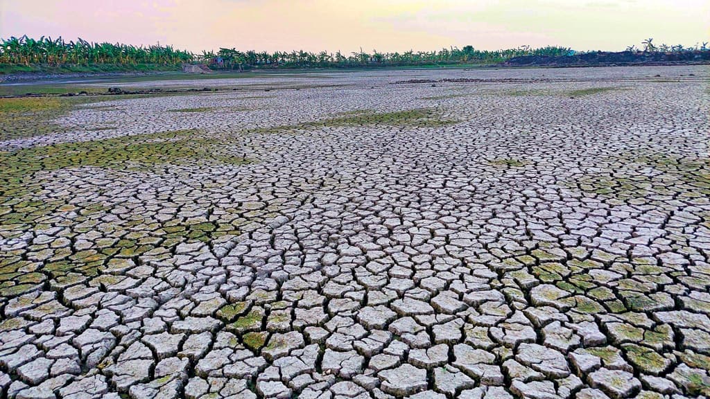 মাছের পুকুর শুকিয়ে চৌচির