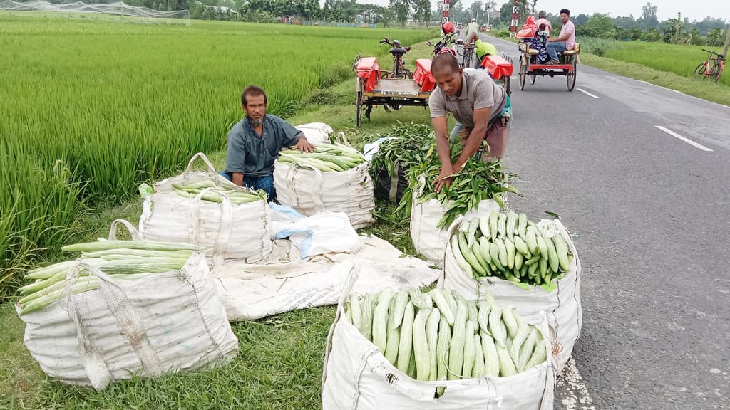 জয়পুরহাটের সবজি ঢাকায় নিয়ে বিক্রি করে দিন বদলেছে জাবেদের