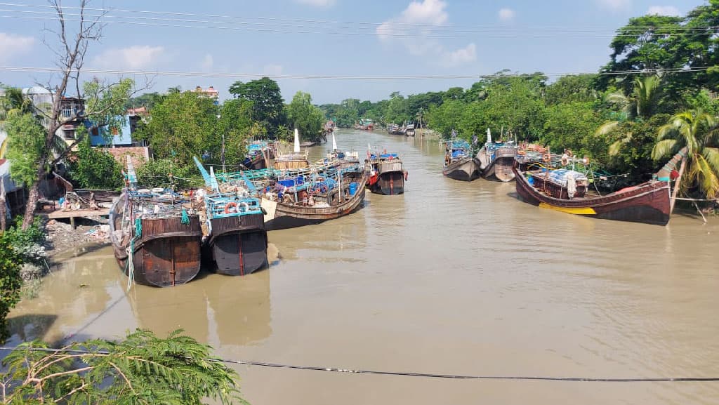 ইলিশের ভরা মৌসুমে বরফ সংকটের কোপ